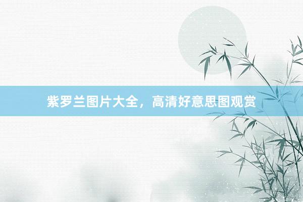 紫罗兰图片大全，高清好意思图观赏